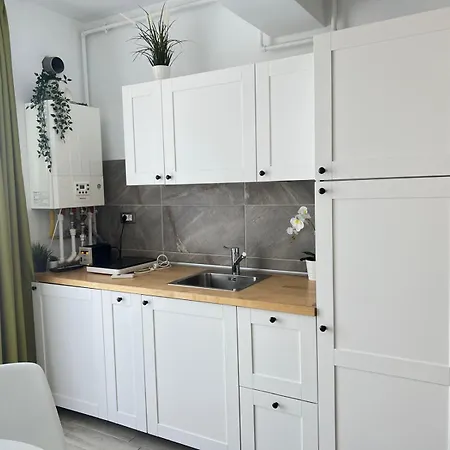 Mihnea By Alz * Navodari